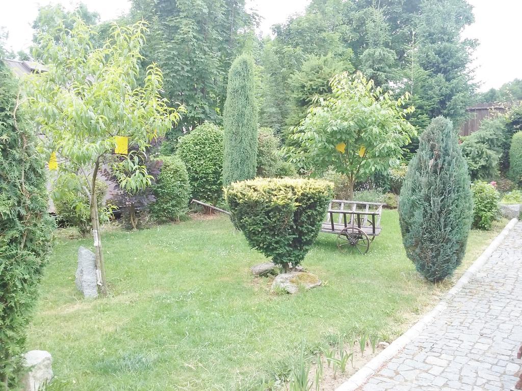 Penzion Hugo Sedlec-Prcice Exterior photo