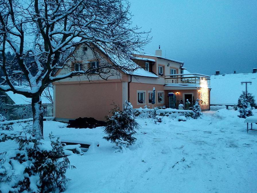 Penzion Hugo Sedlec-Prcice Exterior photo