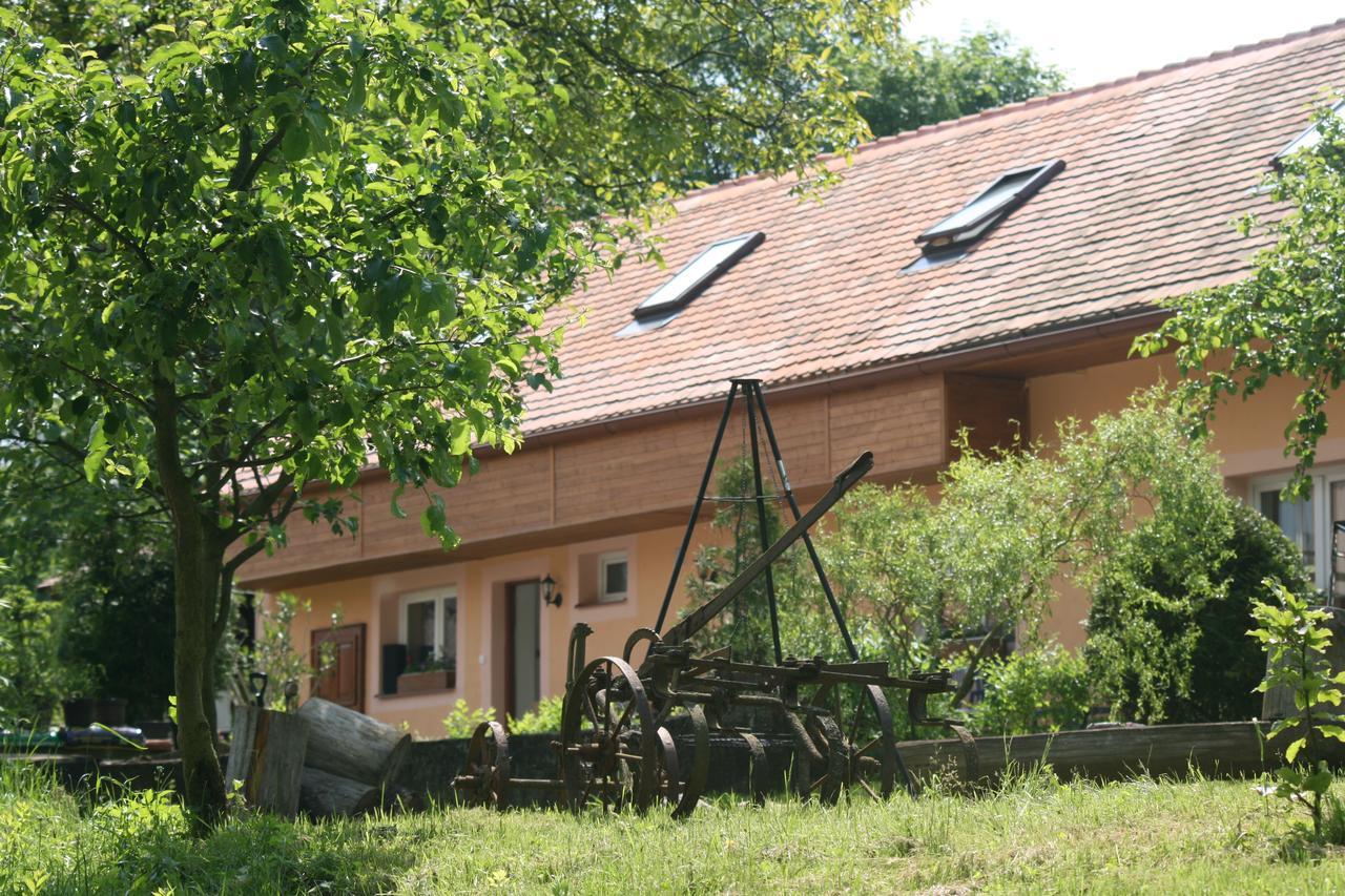 Penzion Hugo Sedlec-Prcice Exterior photo
